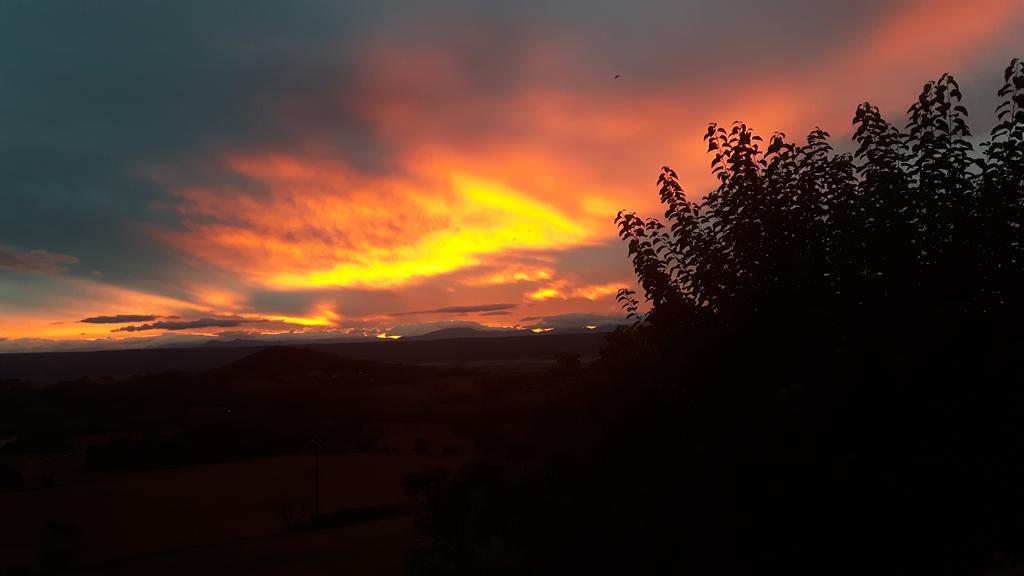 La Magnanerie Villa Niozelles Dış mekan fotoğraf