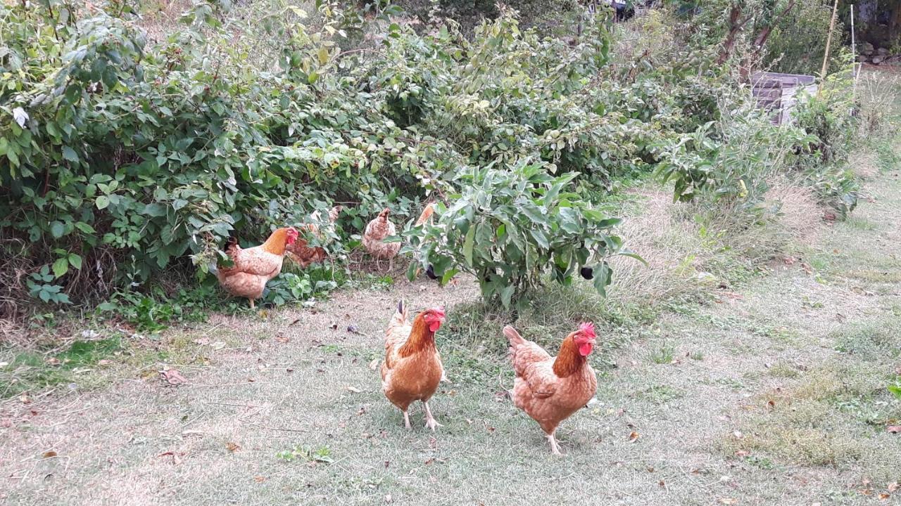 La Magnanerie Villa Niozelles Dış mekan fotoğraf